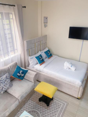 Ravic Homes Nairobi, Studio Apartment